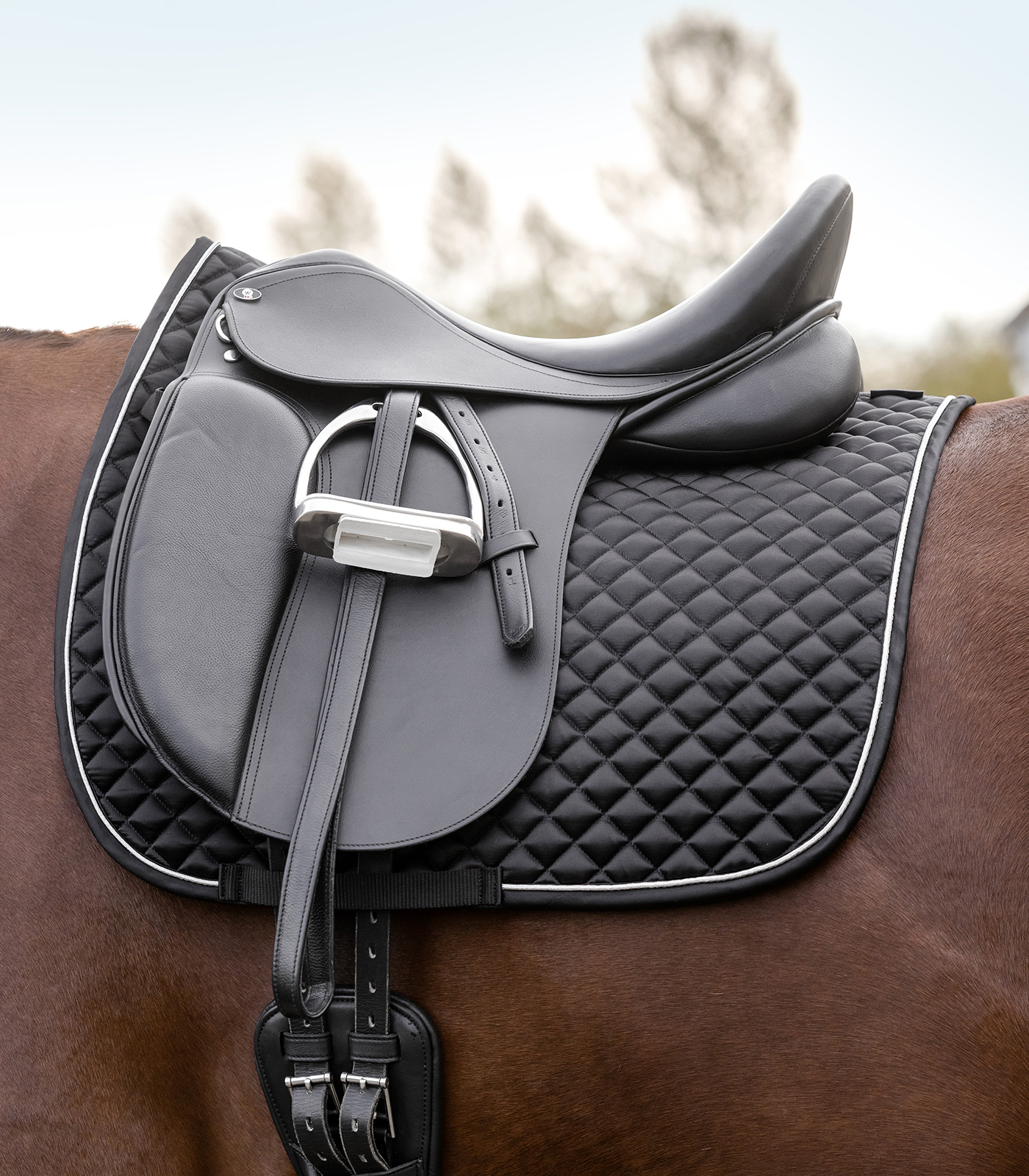 Waldhausen Waldhausen Schabracke Felix Glam