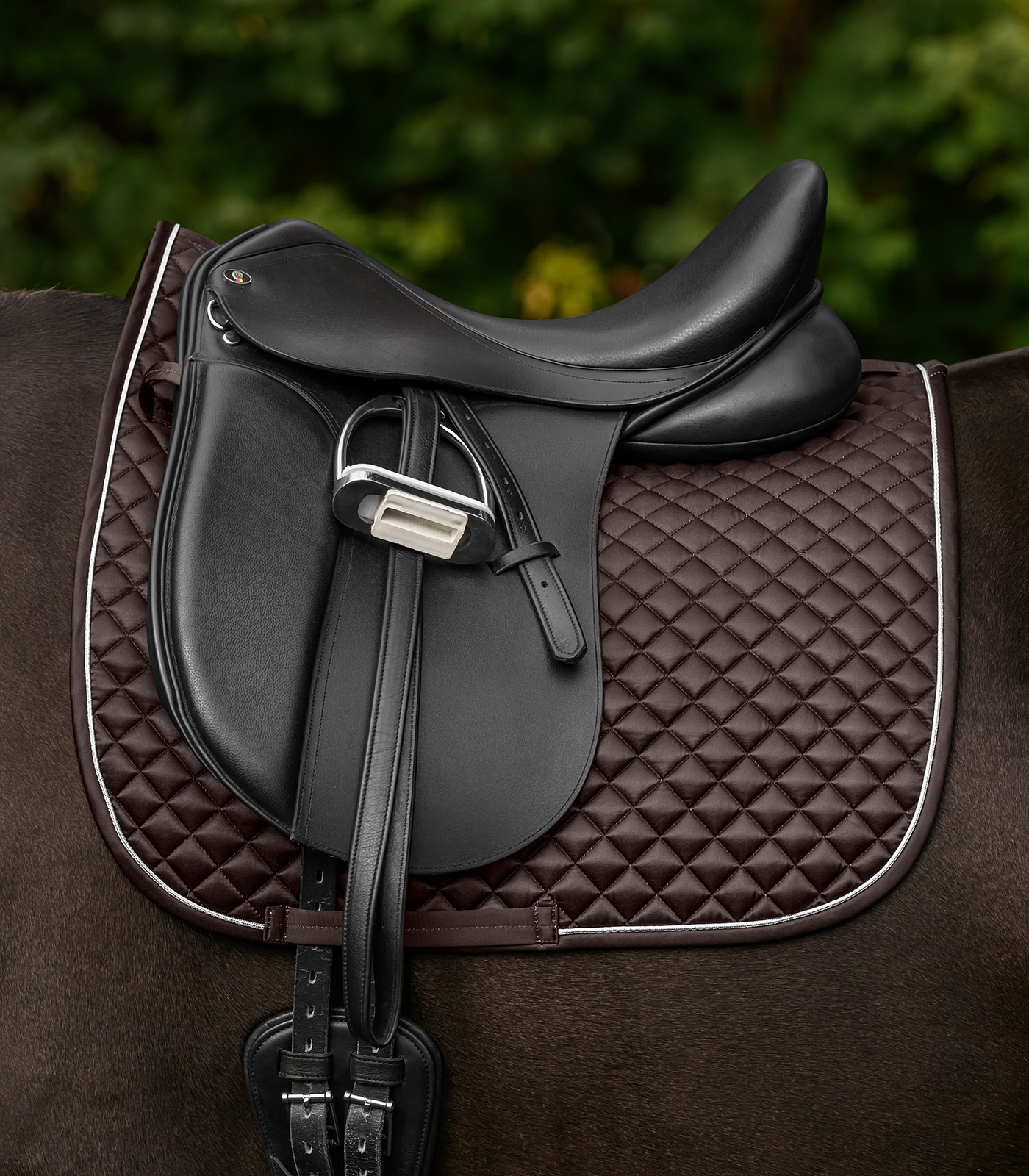 Waldhausen Waldhausen Schabracke Felix Glam