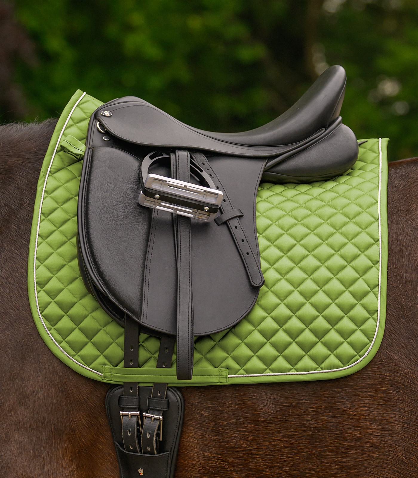 Waldhausen Waldhausen Schabracke Felix Glam