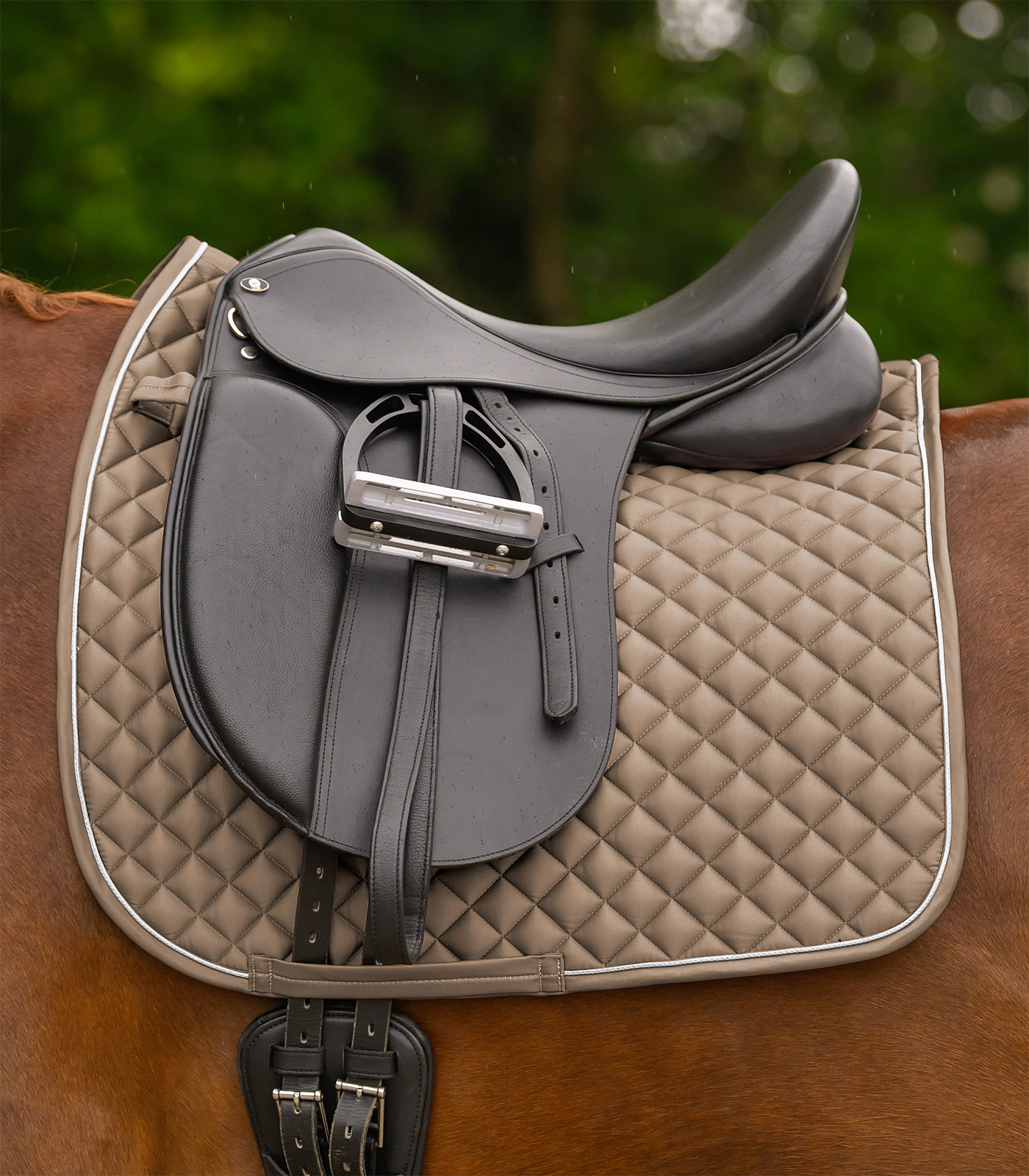 Waldhausen Waldhausen Schabracke Felix Glam