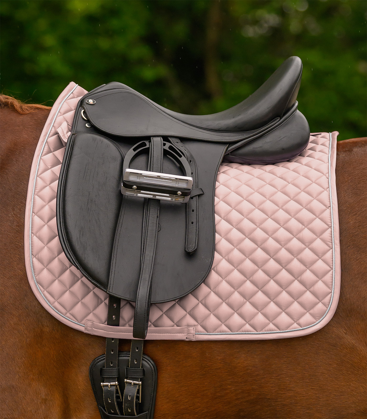 Waldhausen Waldhausen Schabracke Felix Glam