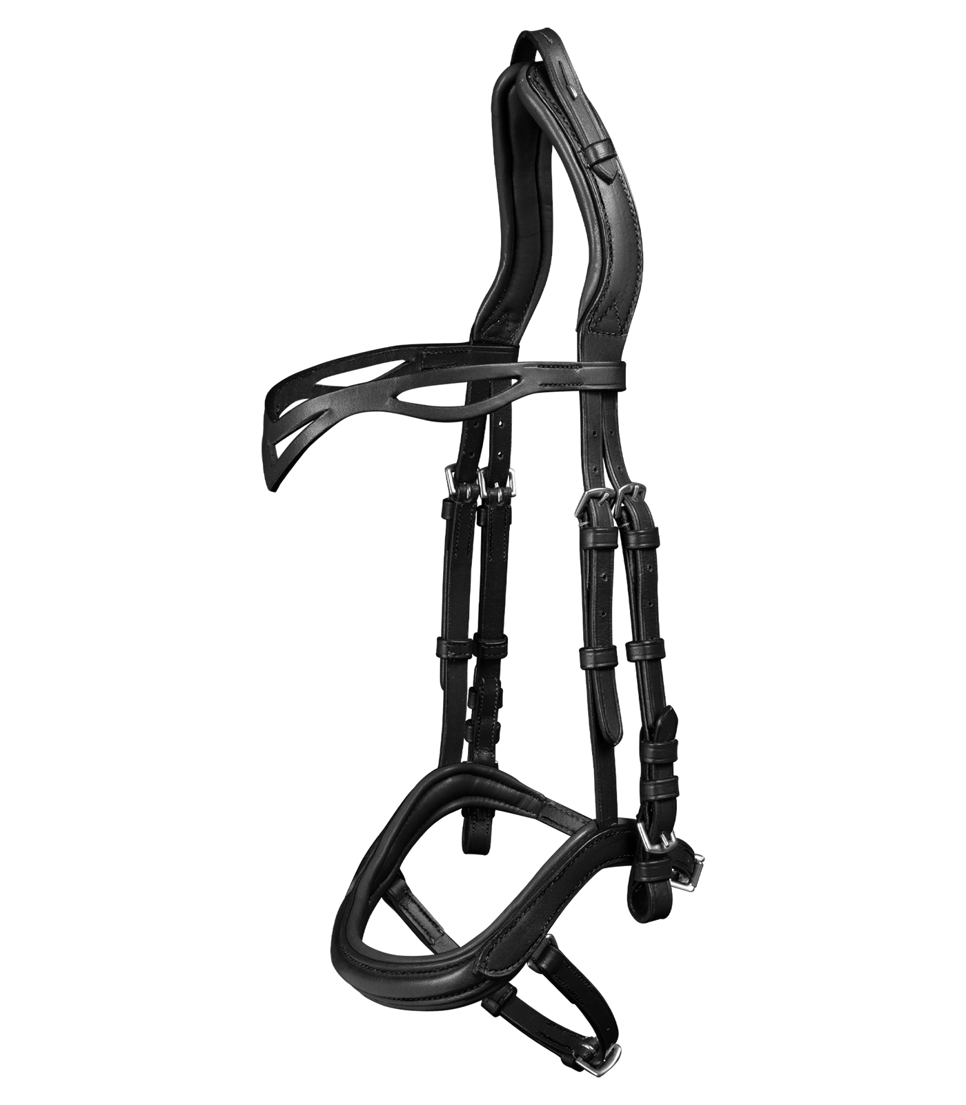 Waldhausen Waldhausen Island Trensenzaum anatomic