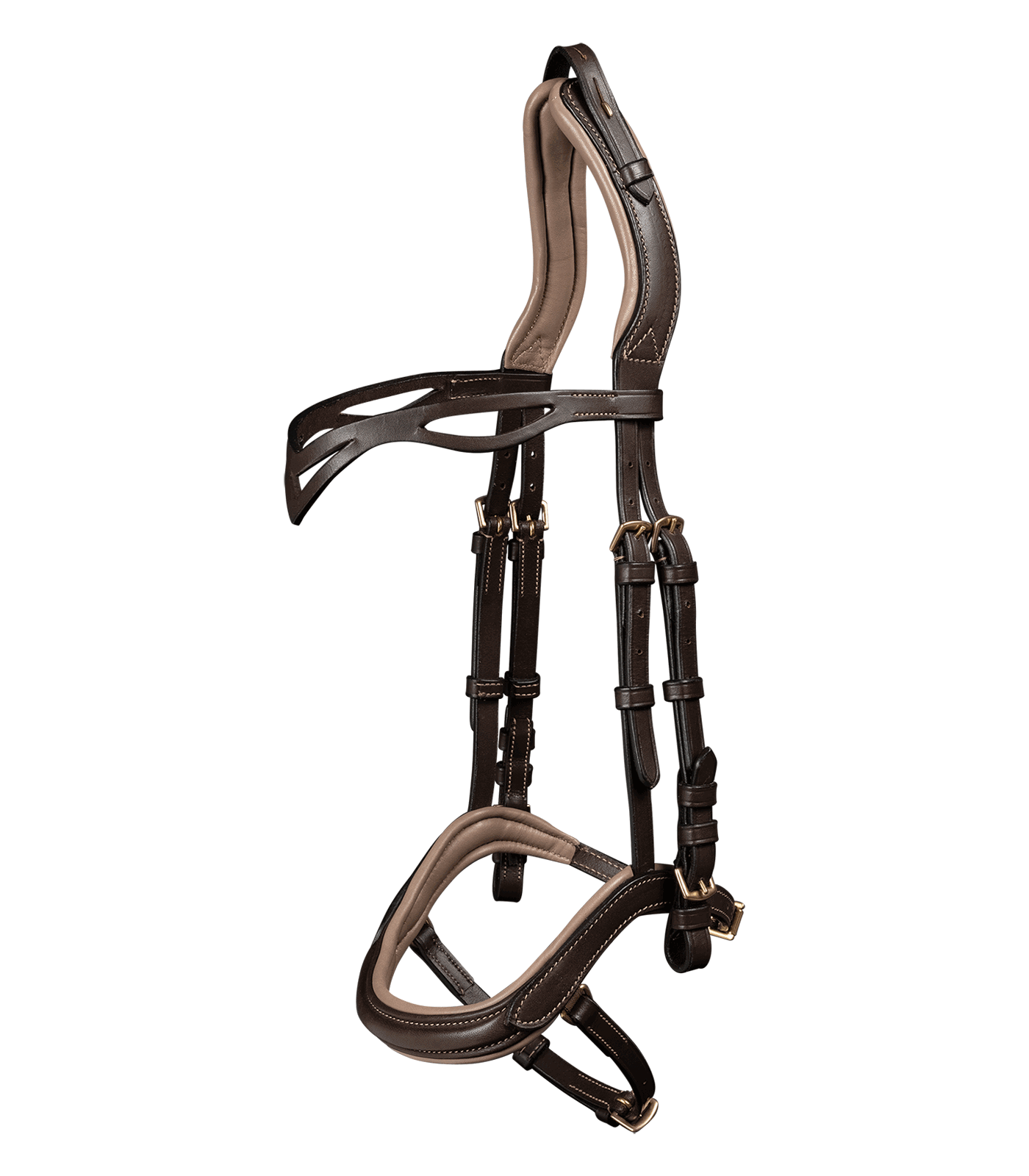 Alternative view of Waldhausen Island Trensenzaum anatomic