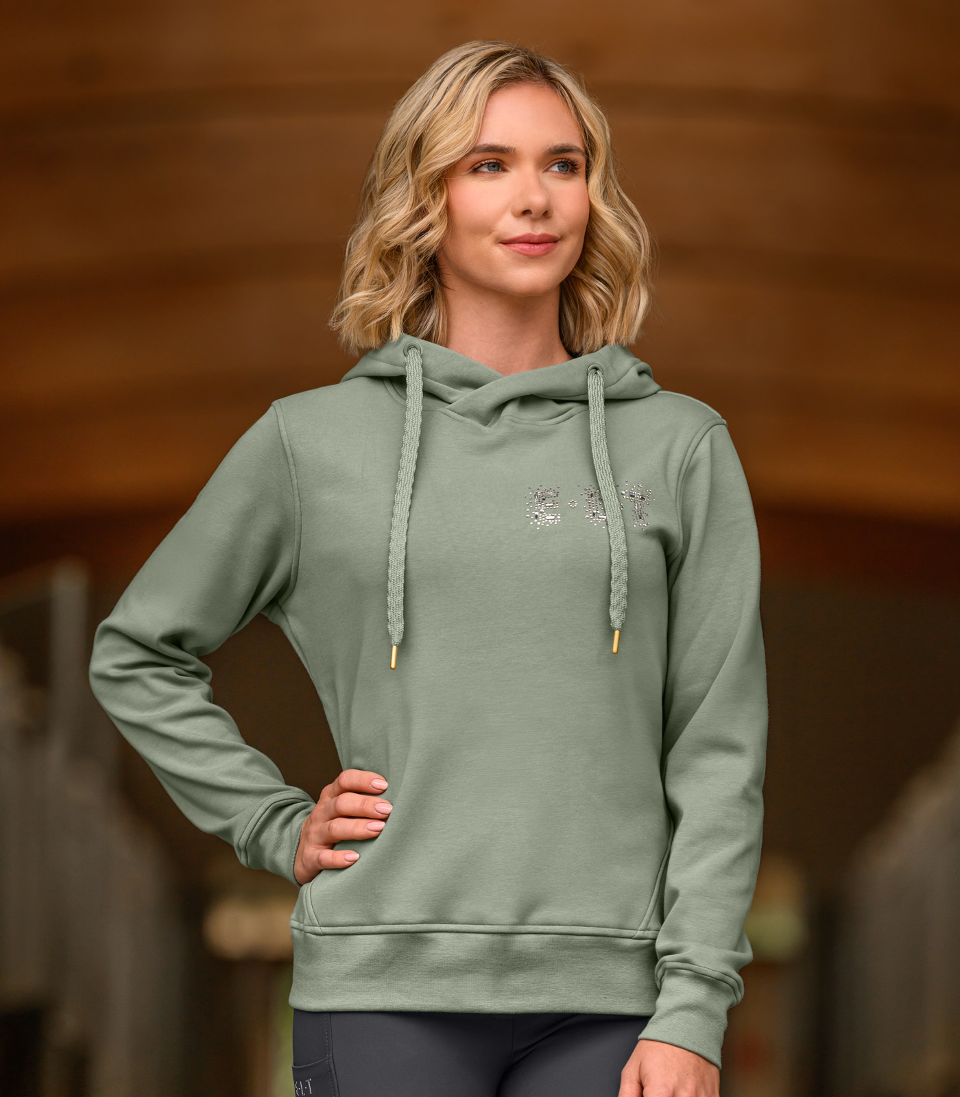 Alternative view of Waldhausen Hoodie Tilburg