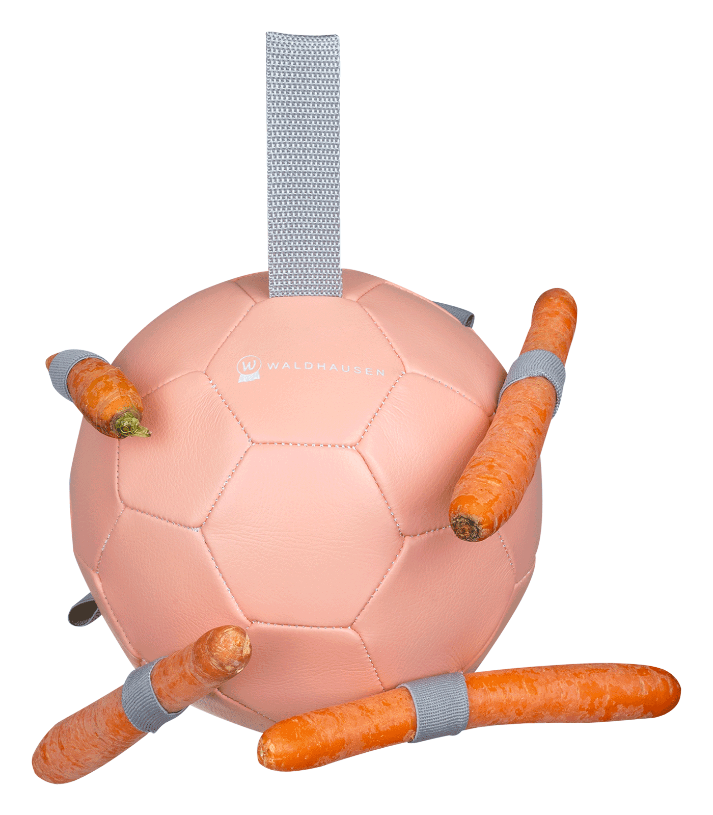Waldhausen Waldhausen Karottenball