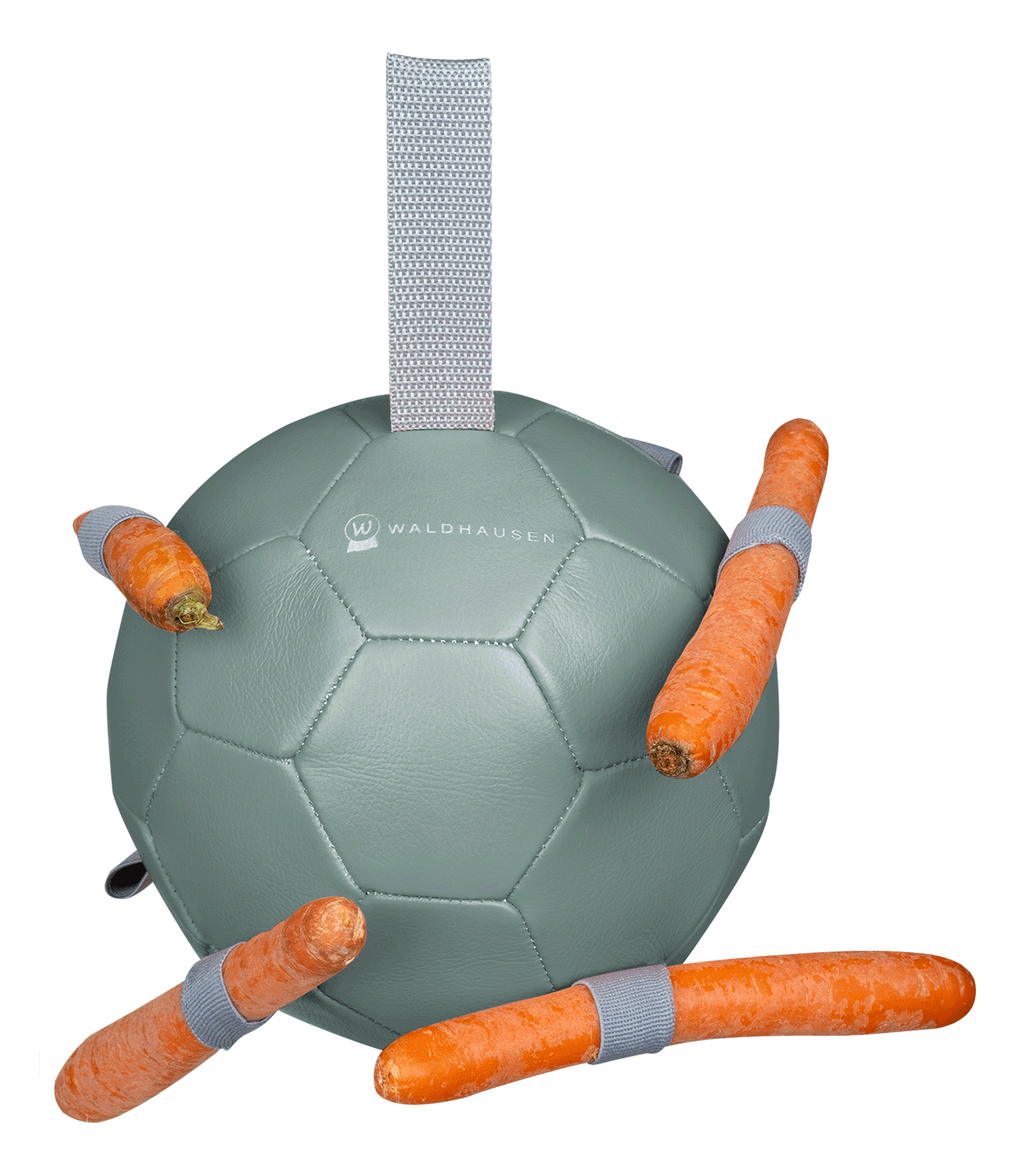 Alternative view of Waldhausen Karottenball