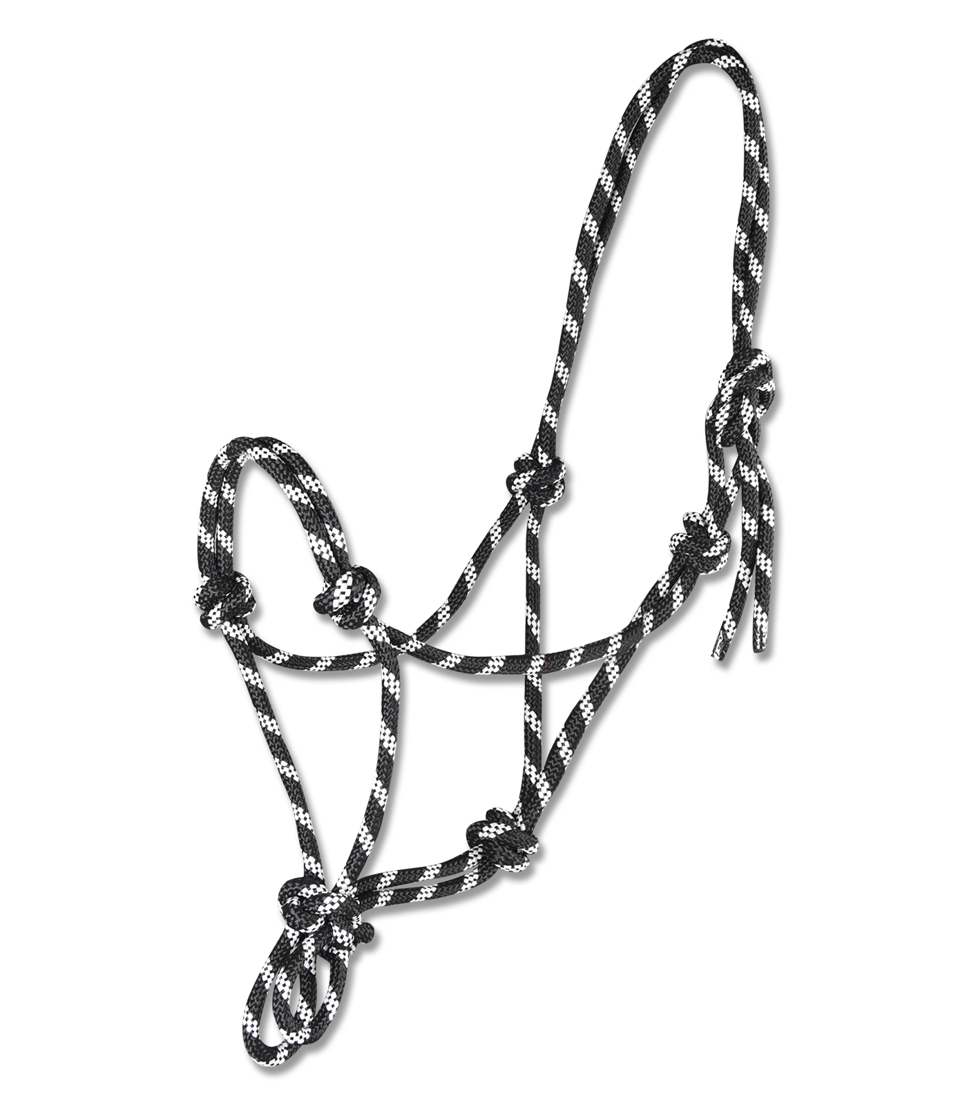 Alternative view of Waldhausen Knotenhalfter