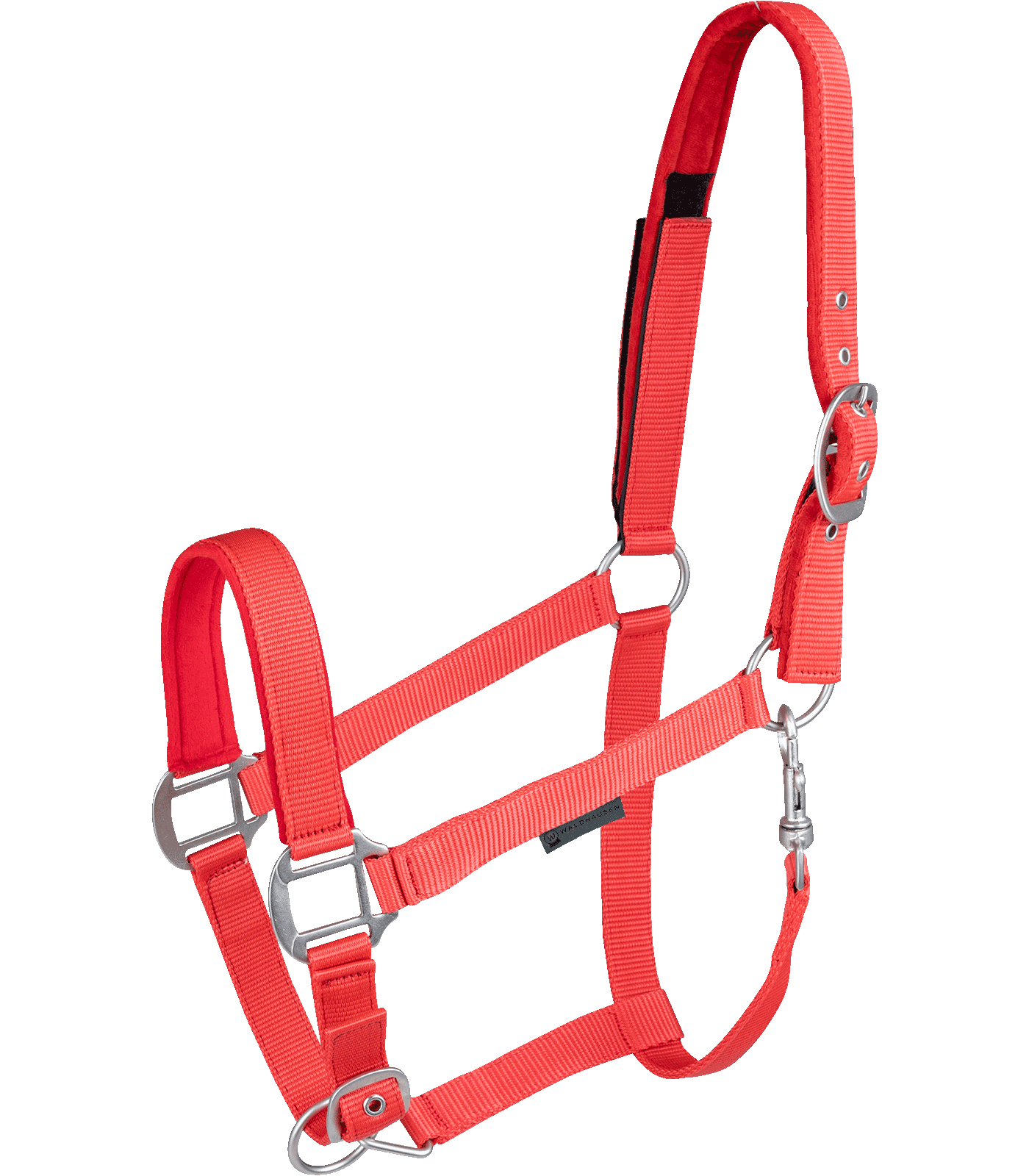 Alternative view of Waldhausen Halfter Clever-Open