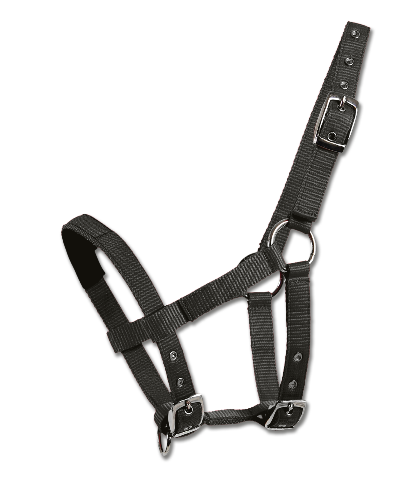 Waldhausen Waldhausen Mini-Shetty Halfter Waldhausen Waldhausen Mini-Shetty Halfter