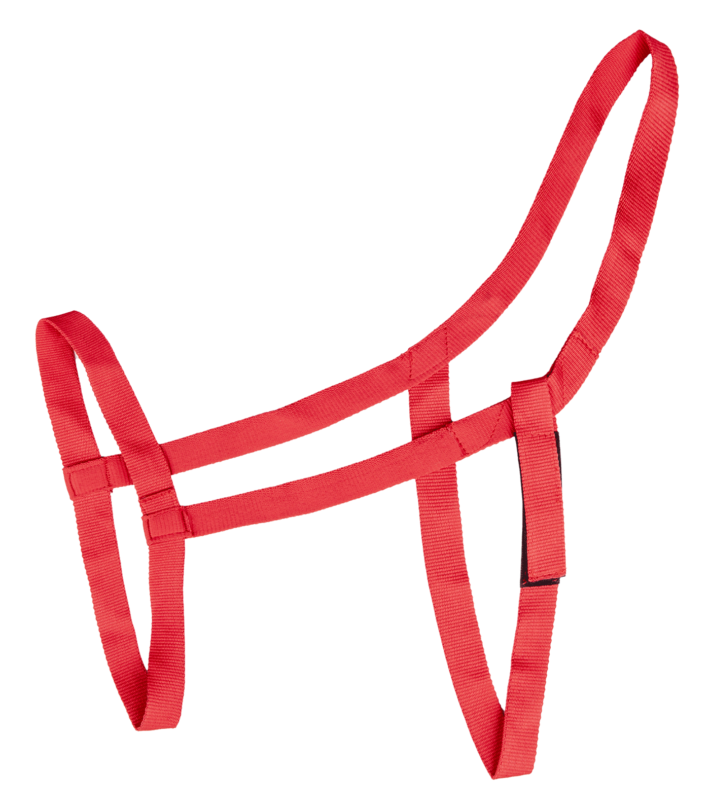 Waldhausen Waldhausen Weidehalfter