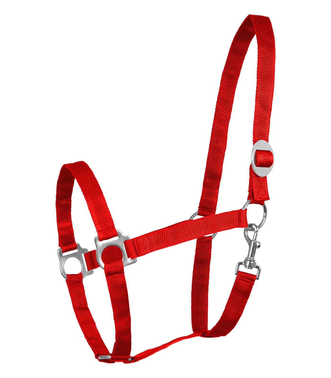 Alternative view of Waldhausen Halfter Perlon