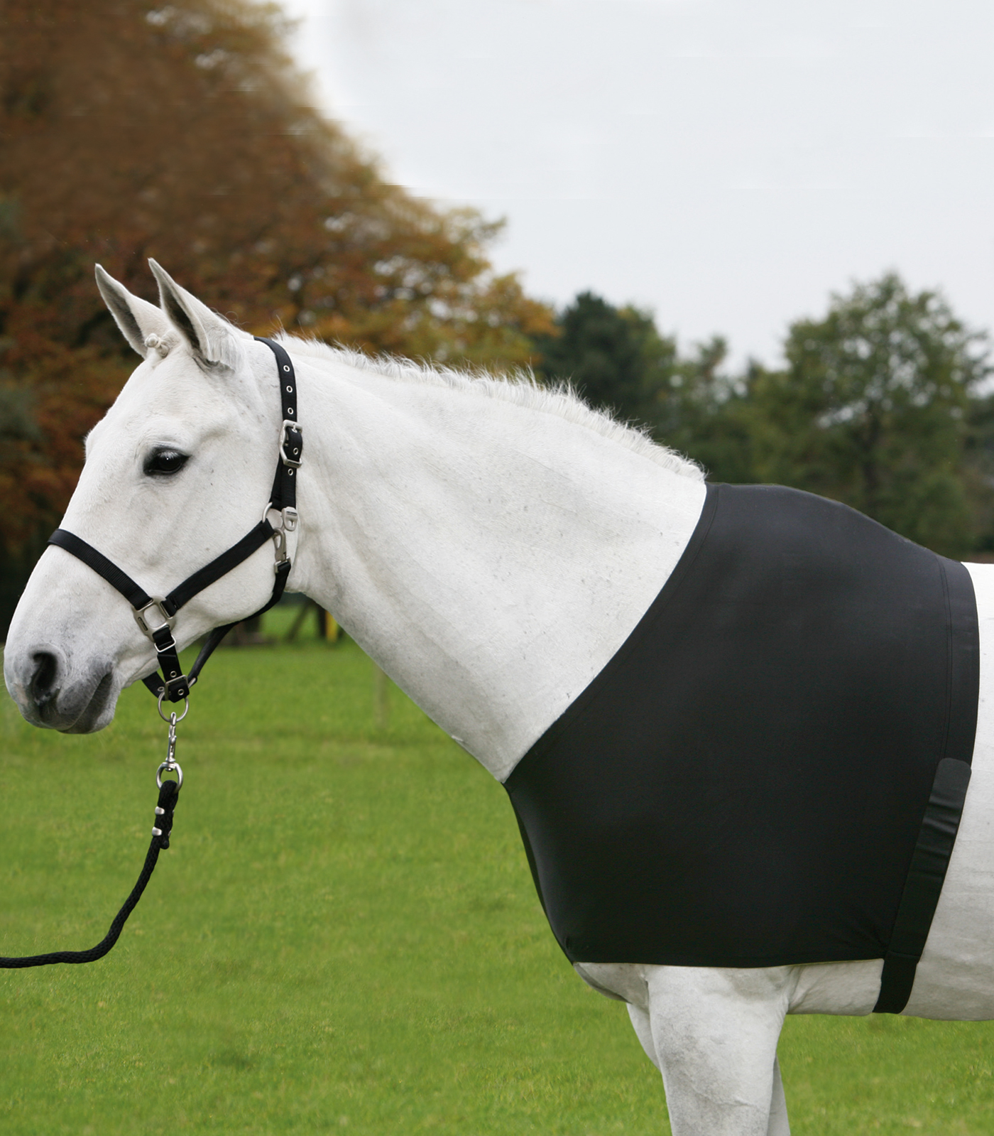 Waldhausen Comfort Vest
