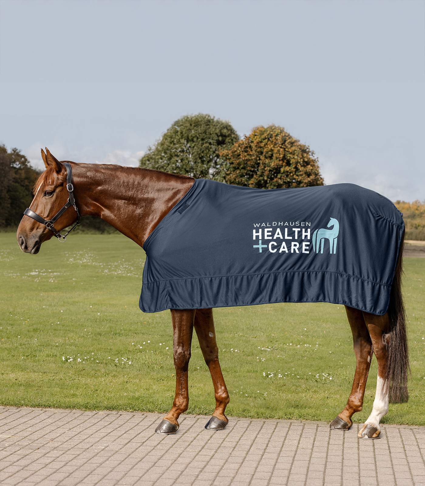 Waldhausen Waldhausen Health + Care Ice-Layer Decke