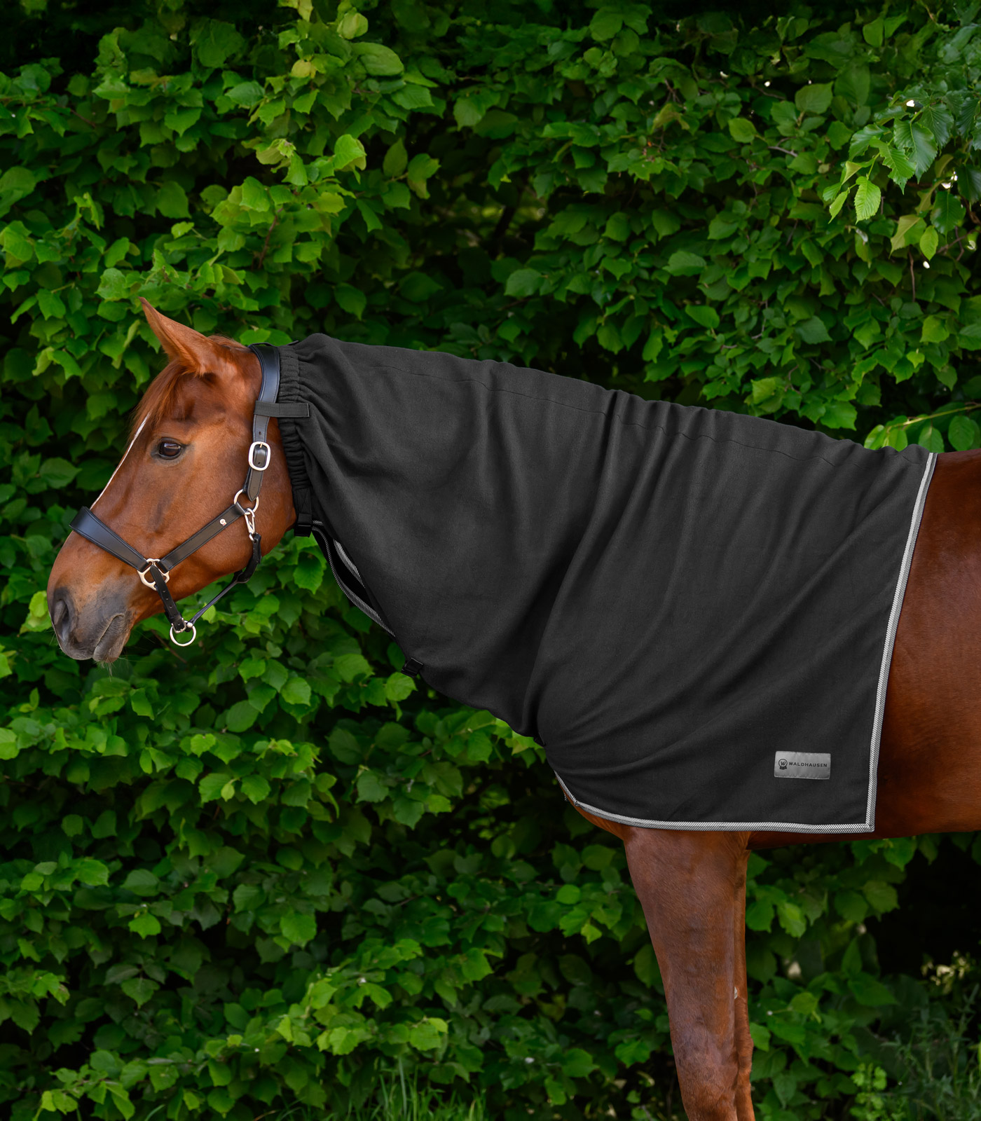Alternative view of Waldhausen ECONOMIC Fleece-Halsdecke