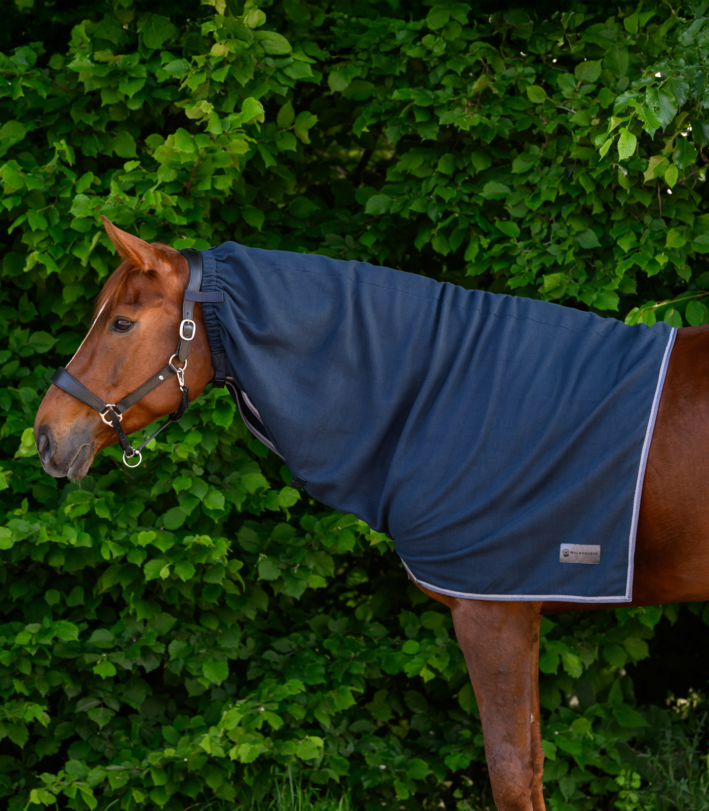 Waldhausen Waldhausen ECONOMIC Fleece-Halsdecke