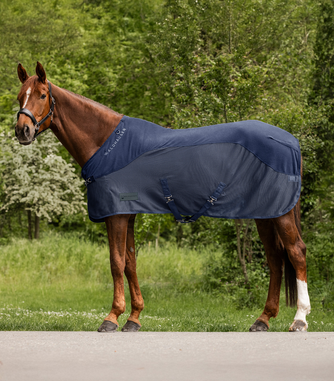 Waldhausen Waldhausen COMFORT Fleece-Fliegendecke