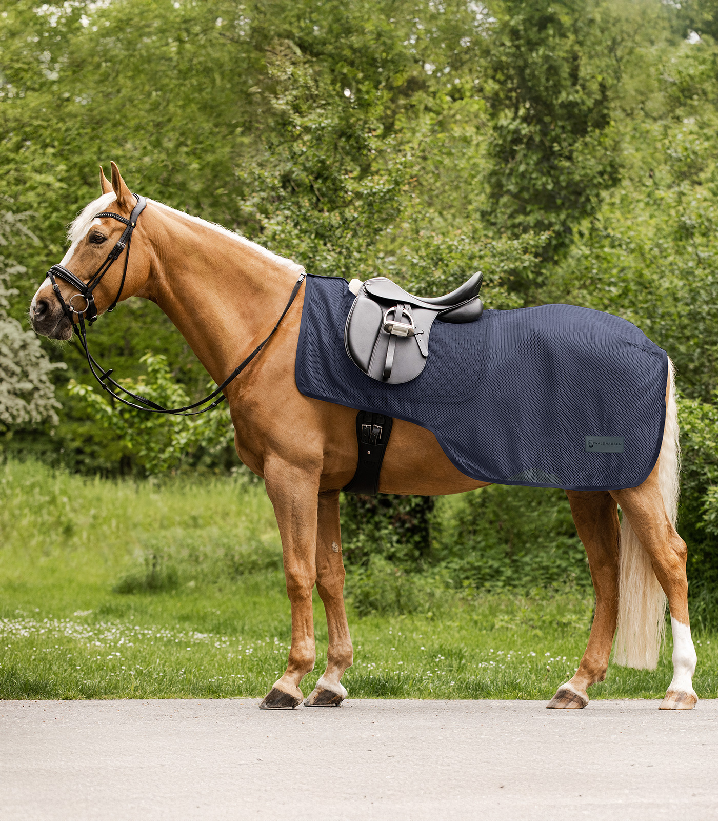 Waldhausen COMFORT Fliegen-Ausreitdecke