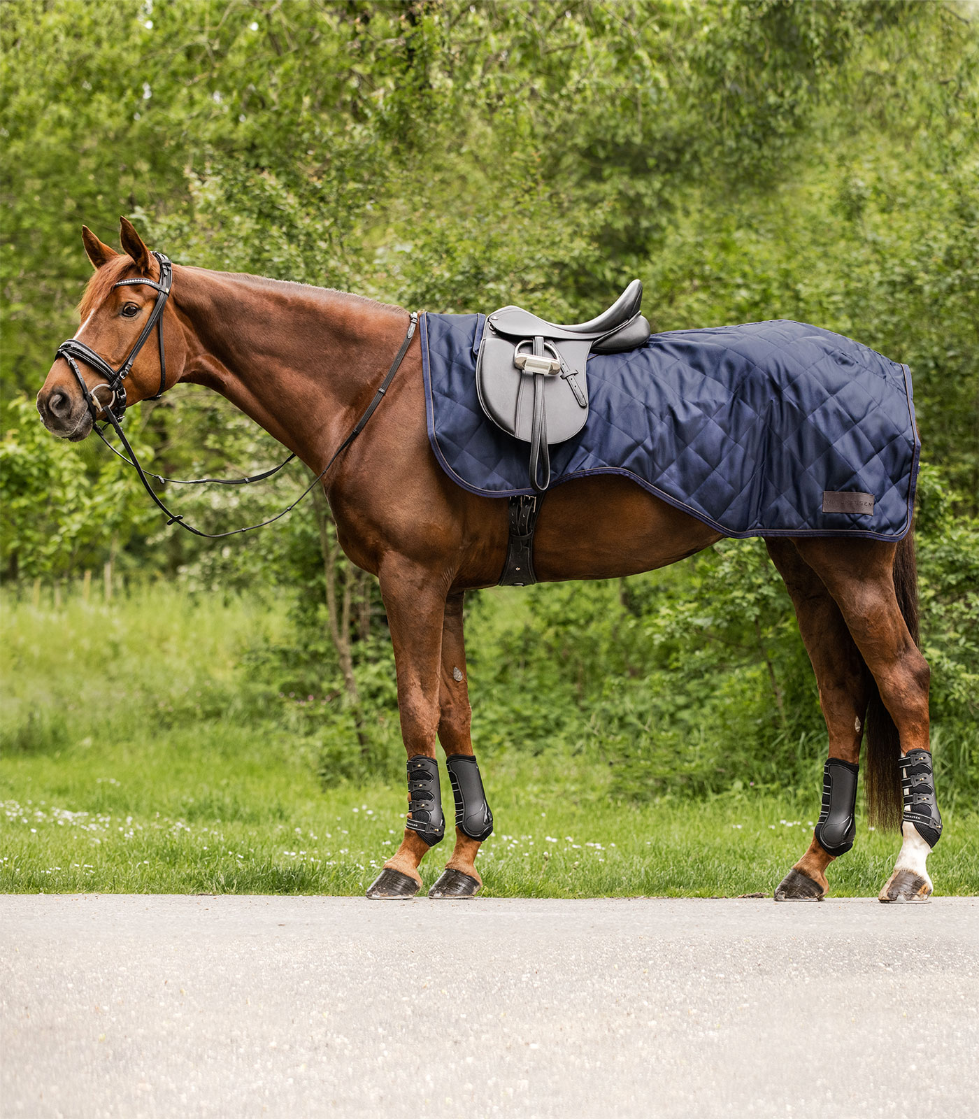 Alternative view of Waldhausen Ausreitdecke EXCLUSIVE, 50g