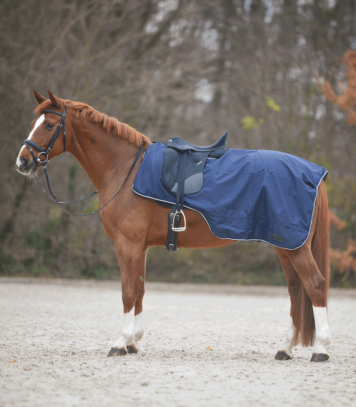 Waldhausen Waldhausen COMFORT Regendecke mit Sattelausschnitt Waldhausen Waldhausen COMFORT Regendecke mit Sattelausschnitt