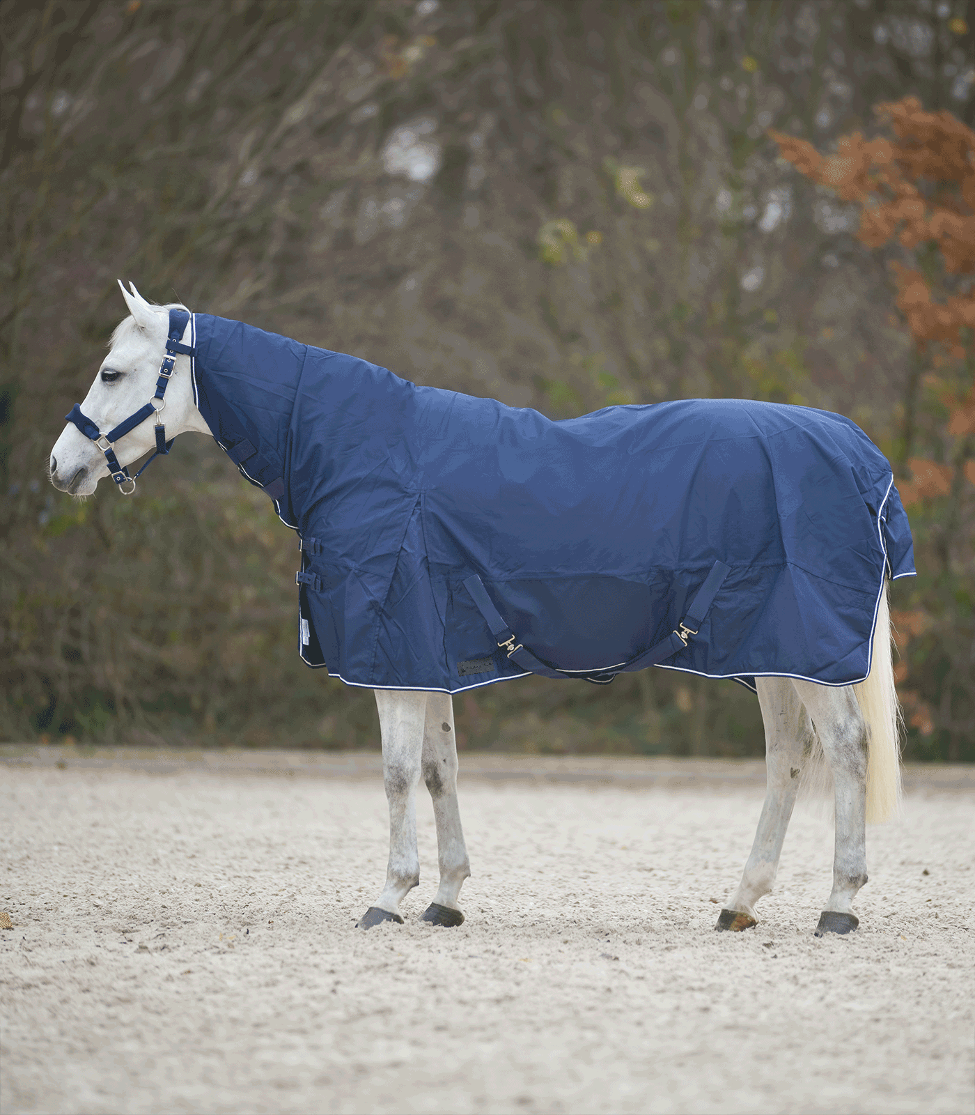 Waldhausen COMFORT Regendecke mit Halsteil