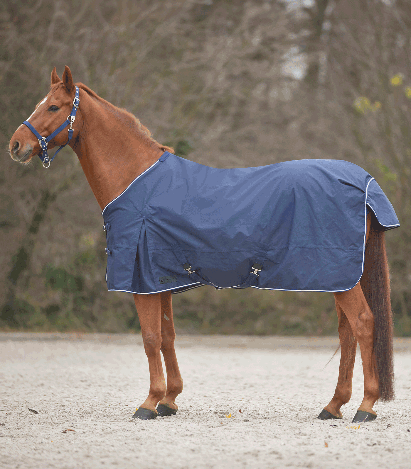 Waldhausen COMFORT Regendecke mit Kreuzbegurtung
