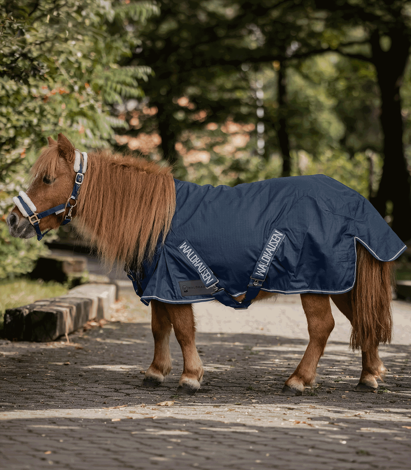 Waldhausen Waldhausen Shetty-Regendecke Light