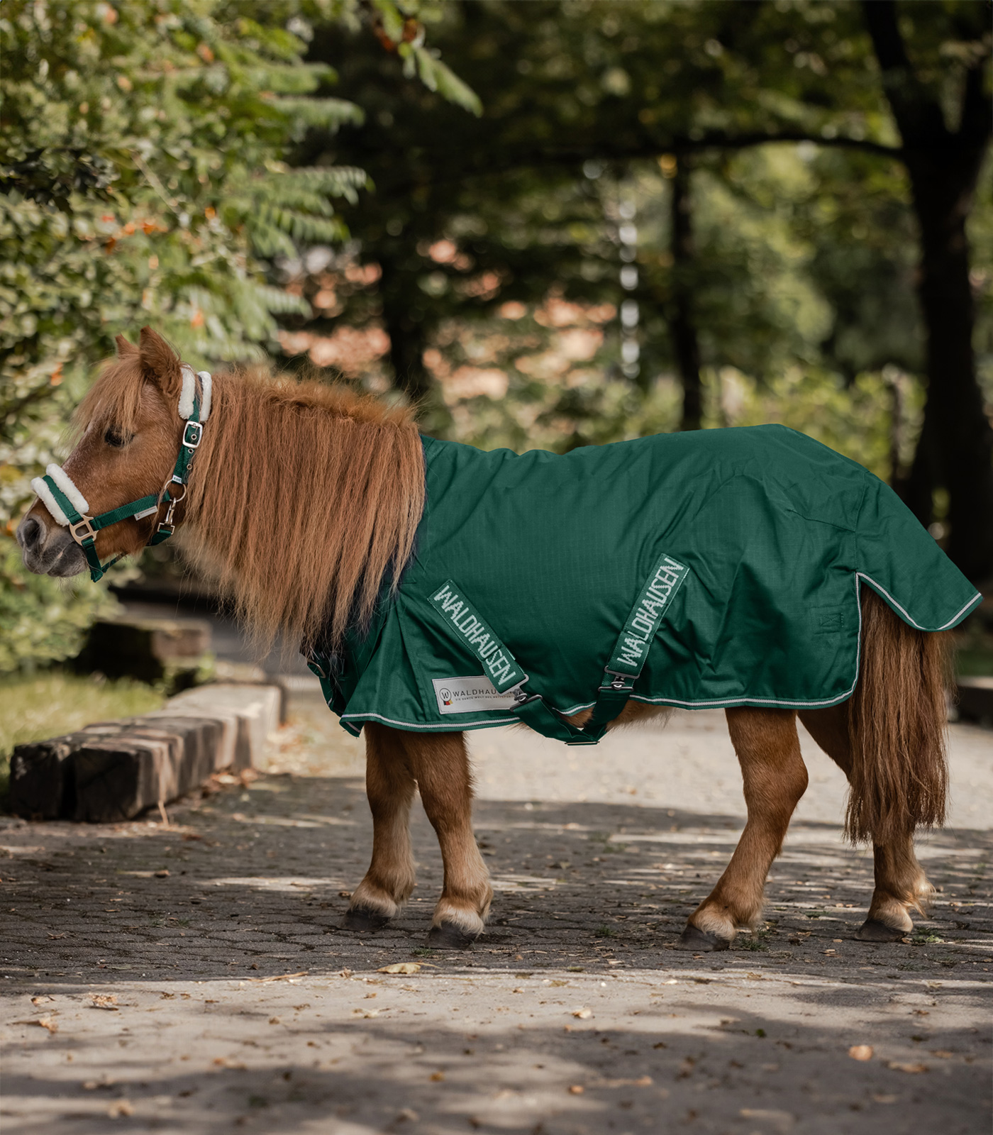 Waldhausen Waldhausen COMFORT Shetty-Regendecke, 100g