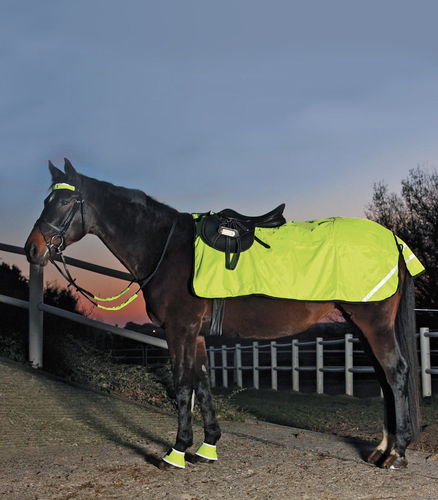 Waldhausen Waldhausen REFLEX Nierendecke, Fleece
