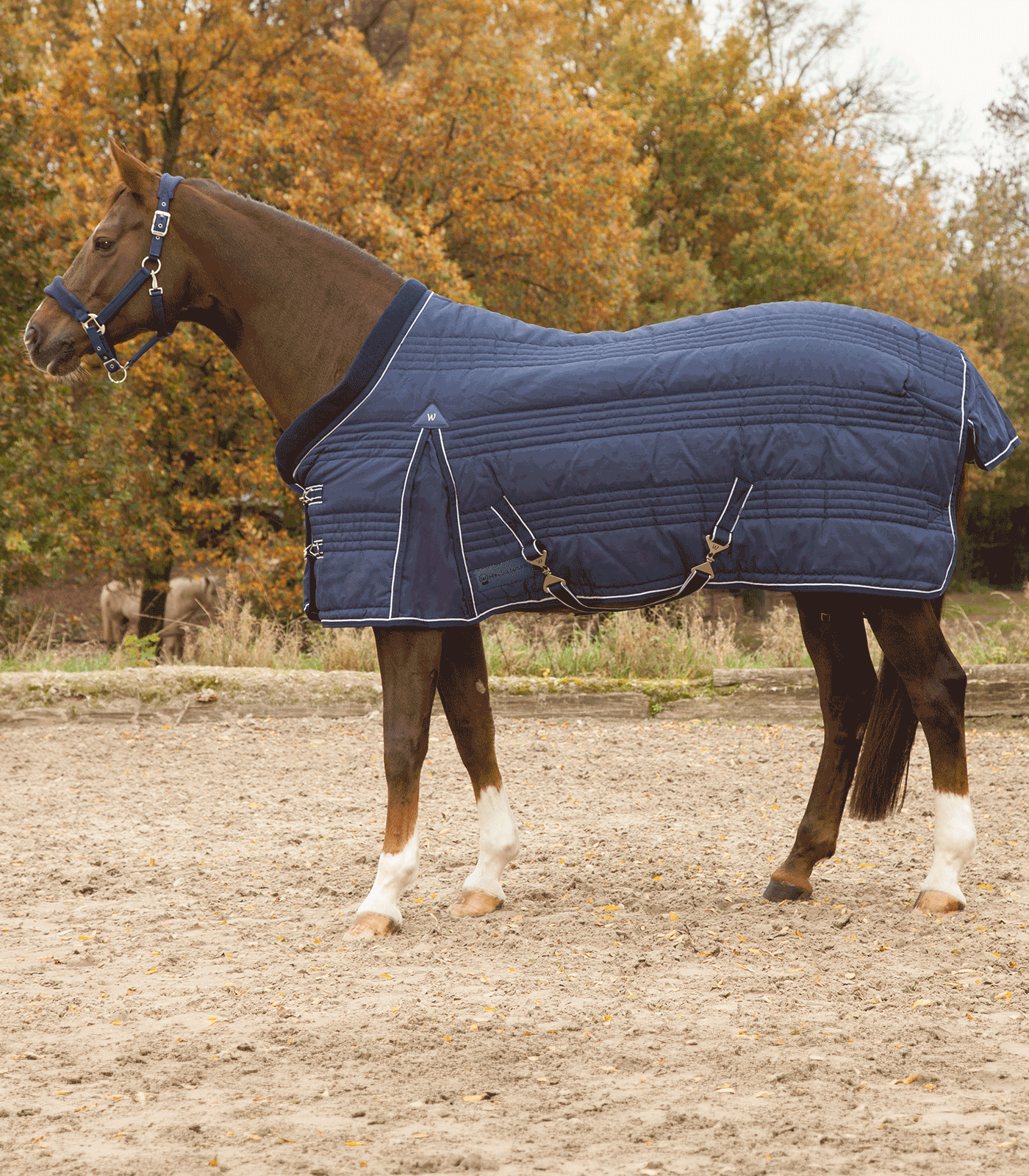 Waldhausen Waldhausen COMFORT Stalldecke, 200 g