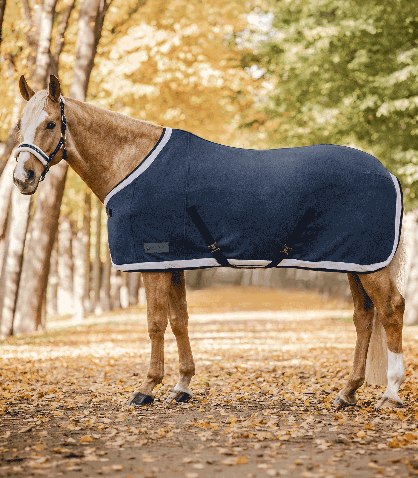 Waldhausen Waldhausen COMFORT Fleecedecke Esperia Two