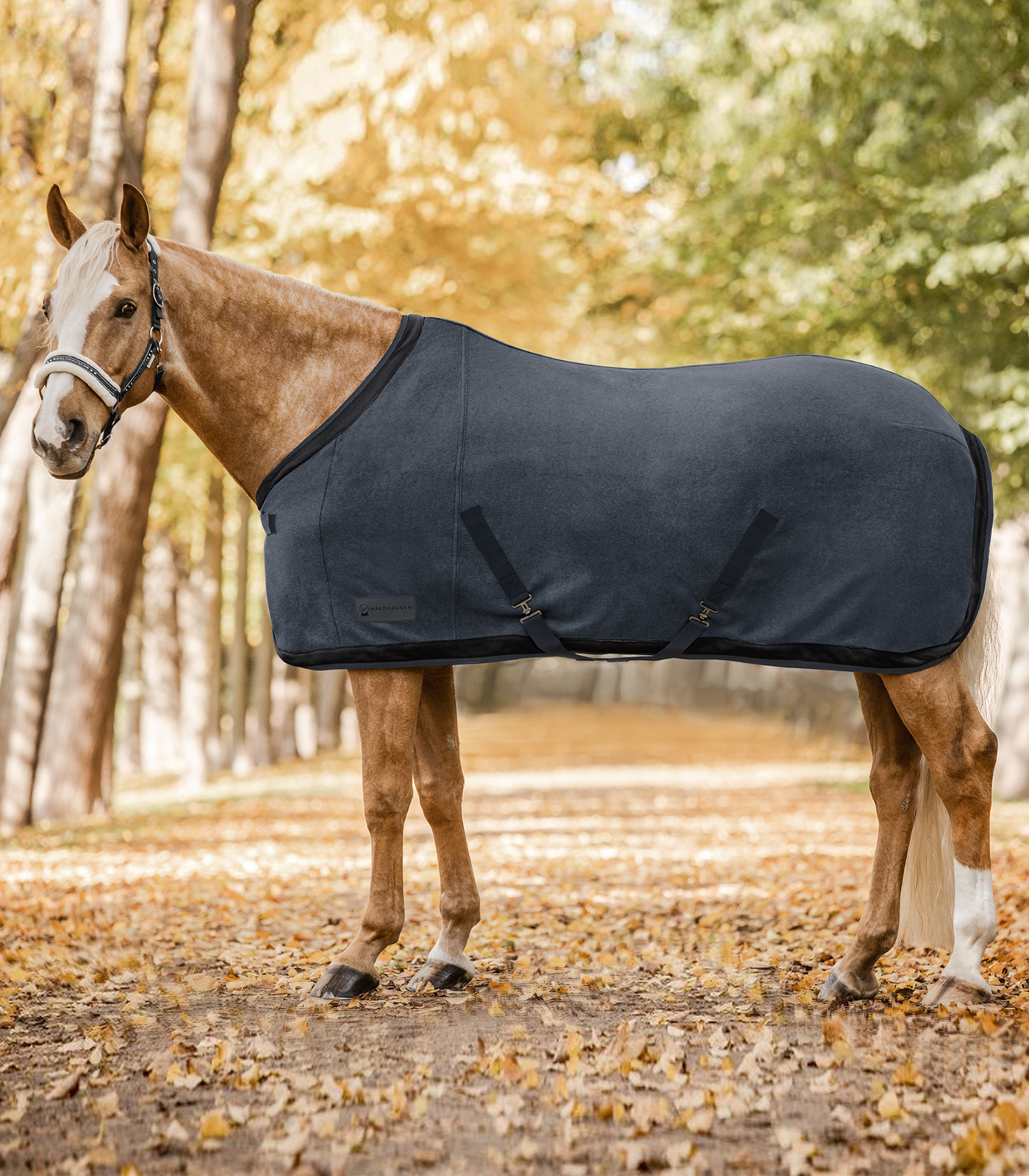 Alternative view of Waldhausen COMFORT Fleecedecke Esperia Two