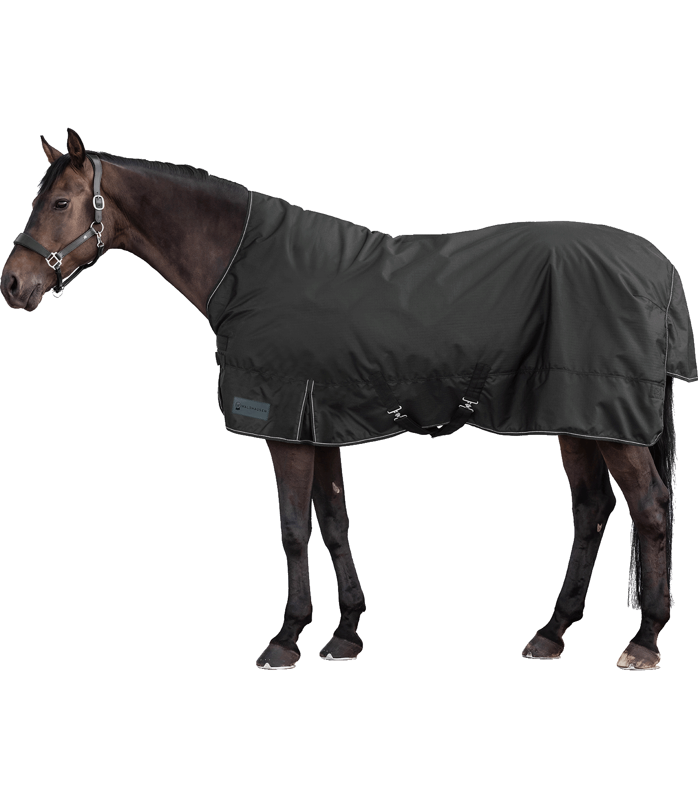 Waldhausen Waldhausen NORDIC Outdoordecke, High Neck, 100 g