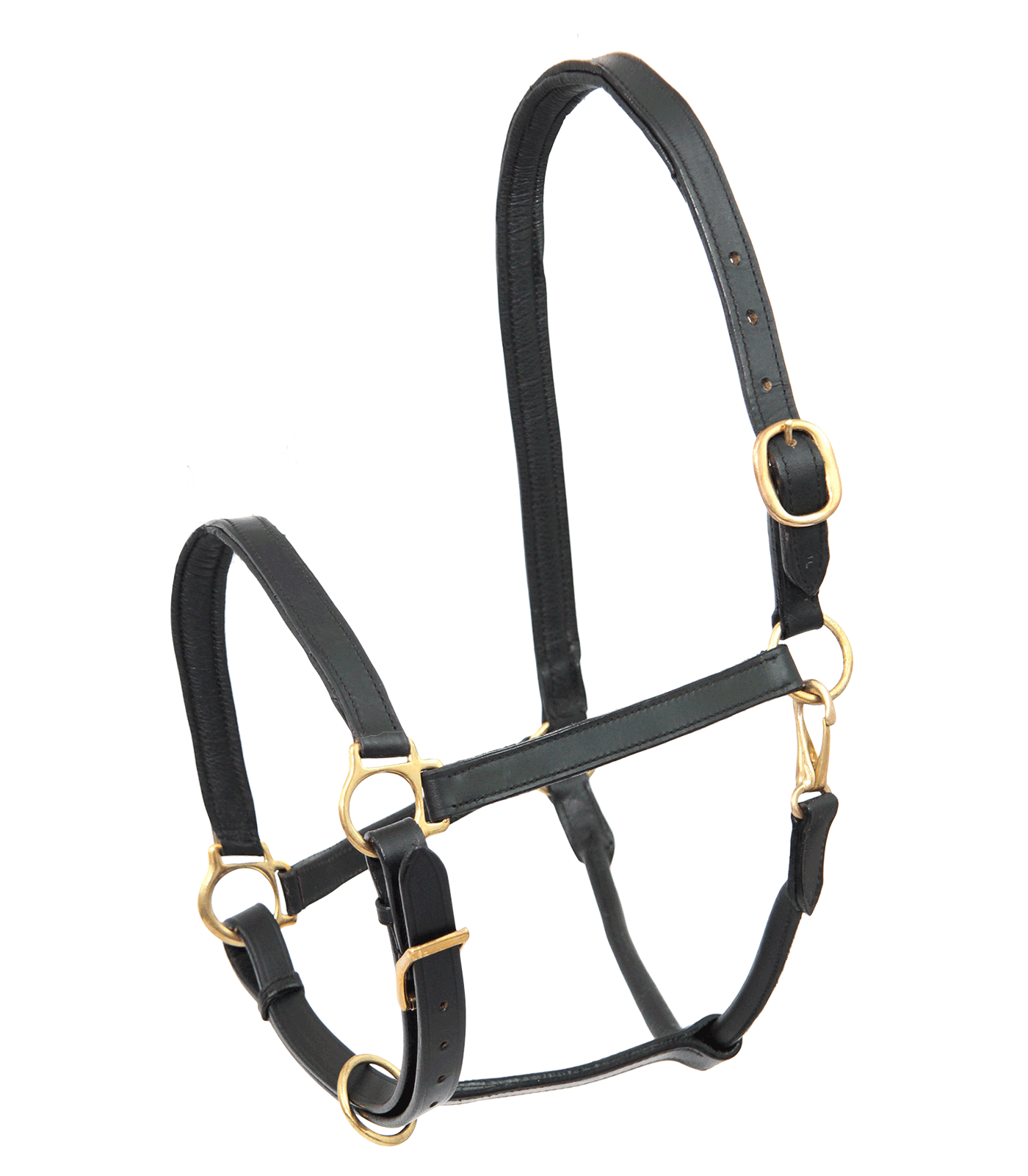 Waldhausen Lederhalfter Robust