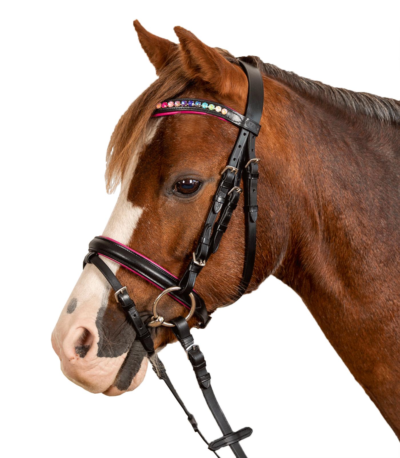 Waldhausen Waldhausen Trensenzaum Pinky