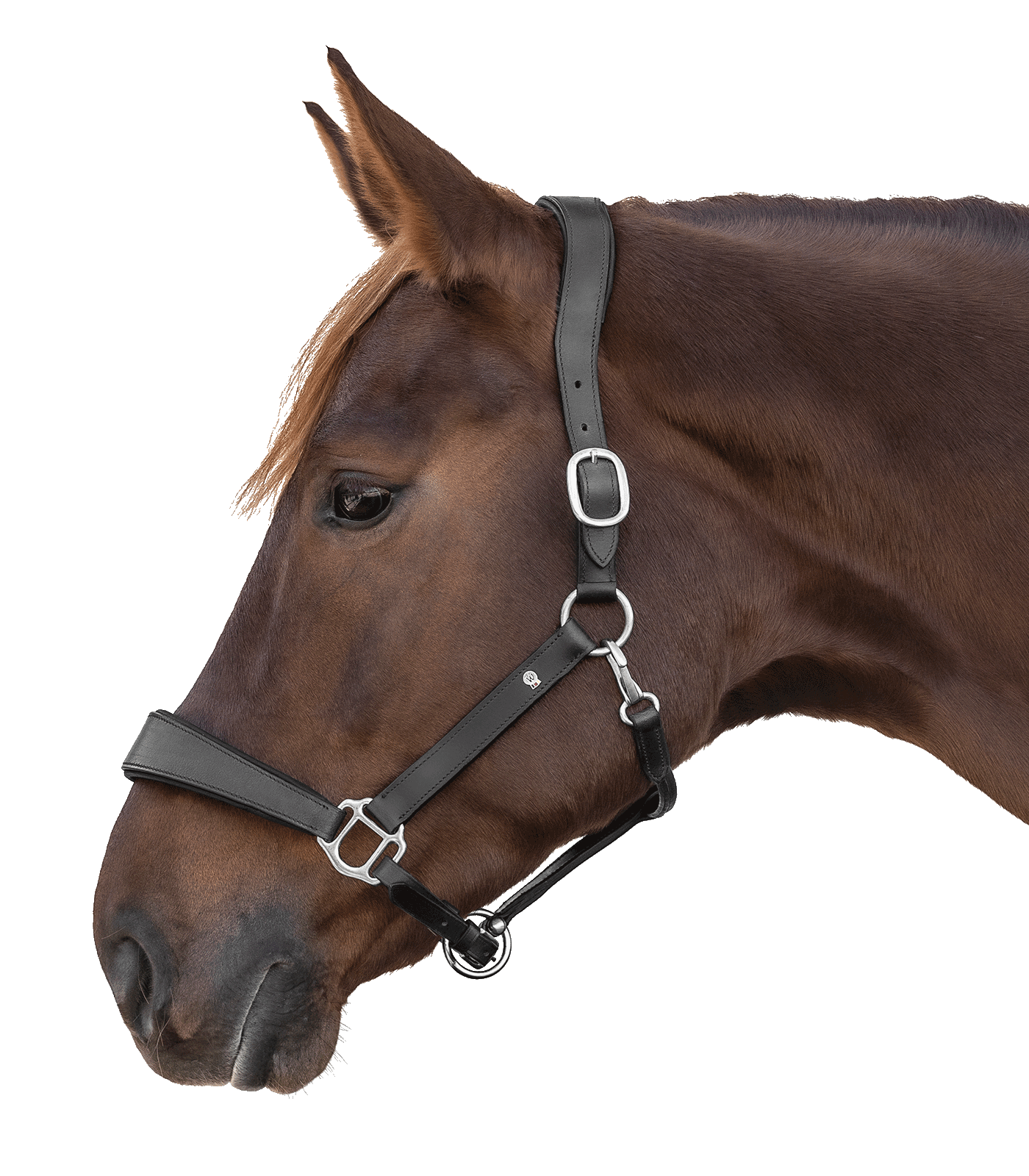 Waldhausen Waldhausen S-Line Lederhalfter Anatomic