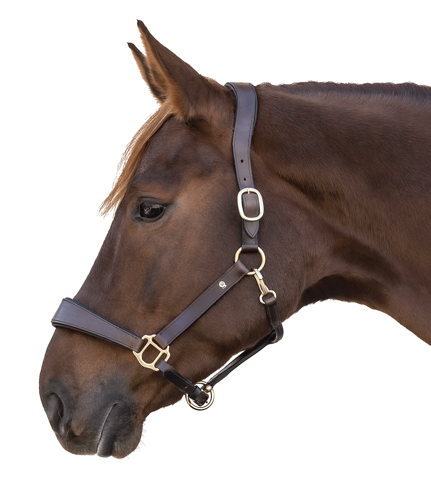 Waldhausen Waldhausen S-Line Lederhalfter Anatomic