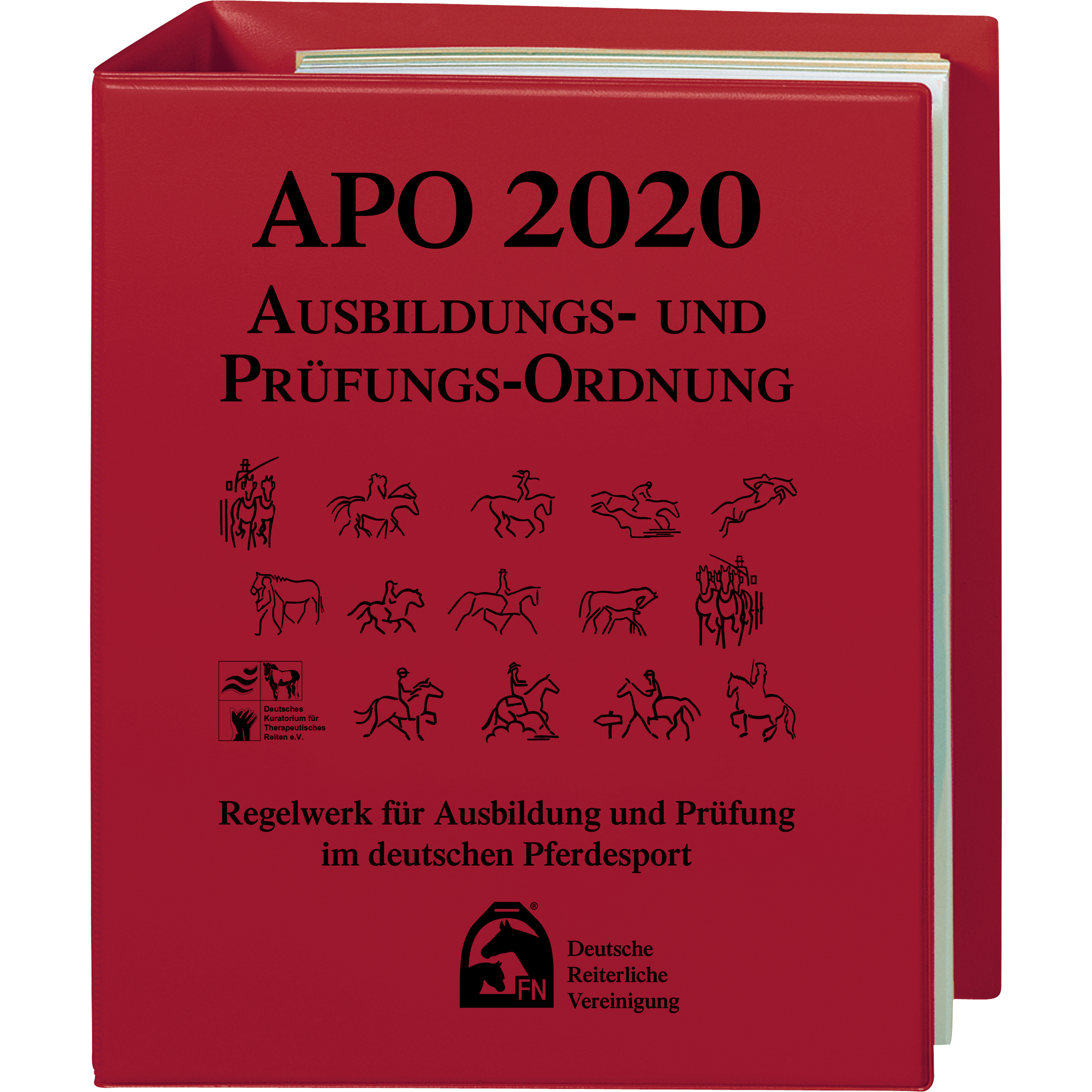 Ausbildungs- und Prüfungs-Ordnung (APO) 2020